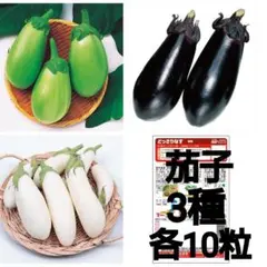 ありんこ様 リクエスト 3点 まとめ商品