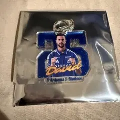 横浜F・マリノス マリガチャ ラメキーホルダー 26ディーンデイビッド選手