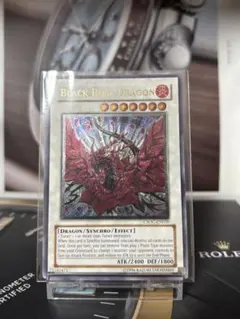 2025年最新】ブラックローズドラゴン レリーフ 英語の人気アイテム