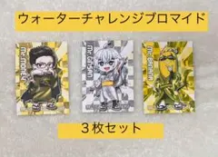 ウォーターチャレンジブロマイド 3枚セット