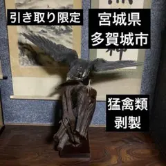 キジ 剥製 木製台座付き 雉 鳥 はく製 アンティーク インテリア 標本