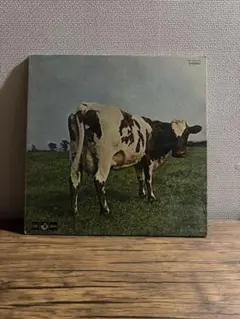 Item thumbnail for item ebb6deca-287b-4174-a557-5ec0d3fcb808