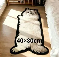 ラグドール　猫柄　猫型　マット　玄関マット　猫　ネコ　ねこ