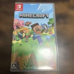 Minecraft switch