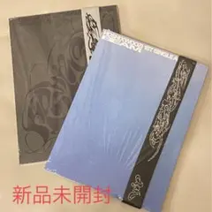 新品未開封 SEVENTEEN HOSHI X WOOZI BEAM 2種セット