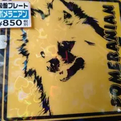 かずちん様 リクエスト 2点 まとめ商品