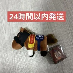 ウインカーネリアン　サラブレッドコレクション　マスコットボールチェーン