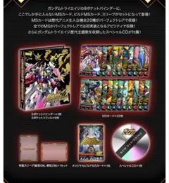 トライエイジ　8周年記念バインダー付属(DPR-046～053)　P　8種8枚 トライエイジ 8周年記念バインダー付属(DPR-046～053) P 8種8枚 - メルカリ