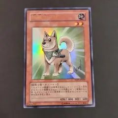 柴戦士　タロ　遊戯王カード