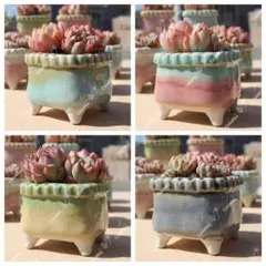 N0328 韓国  3号 4個セット 春日 四角 窯変 貫入 浮彫 植木鉢陶器鉢