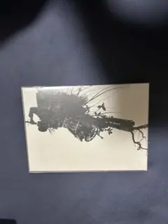 中古DVD Mr.Children DOME TOUR2005 ”I ♡U”