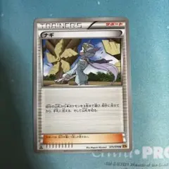 ポケモンカード ジムバッジ ナギ WINONA 2015　XY-P Pokemon 2015 Pokemon Card Gym Tournament Winona Promo Card #XY-P