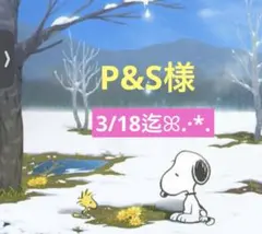 P&S様 専用ページ