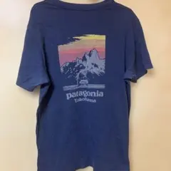 Patagonia YOKOHAMA パタゴニア横浜　Tシャツ　USA製 M