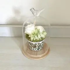 ナチュラルインテリア★プリザーブドフラワー＆ガラスドームセット