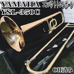 2026年最新】テナーバストロンボーン ケースの人気アイテム - メルカリ