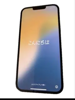 【ジャンク】iPhone 13 Pro Max 　動作問題なし　プレゼント付き