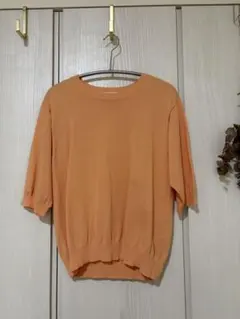 SLOBE IENA FROSTYCOTTONハーフスリーブプルオーバーのサムネイル
