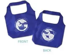 Item thumbnail for item 181f861c-29b5-42c7-b53c-e2e1c8f24ed1