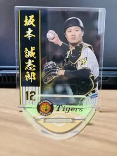 Item thumbnail for item 8cd9605d-6192-4e37-be54-50ebf94dfa6b