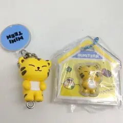 ホシ タムタム ミニティーン SEVENTEEN　2個 グミ