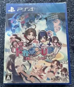 ドカポンUP！夢幻のルーレット PS4ソフト 【新品】