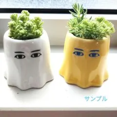 メジェド　エジプト　フリーカップ 多肉 寄せ植え ホワイト そのまま飾れるのサムネイル