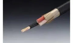 Item thumbnail for item 75bbc2bf-f0de-4809-86ab-f374e00754af