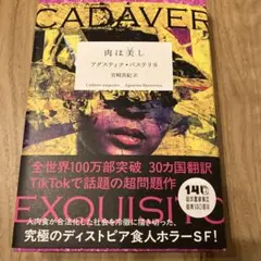 【カバー付】肉は美し