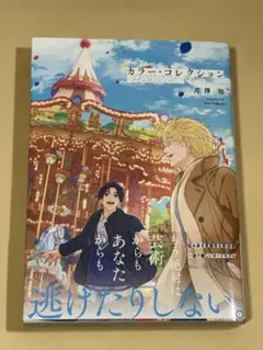 カラー・コレクション PARADE 芹澤知