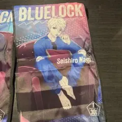 BLUELLOCK 限定ポーチ 1/300