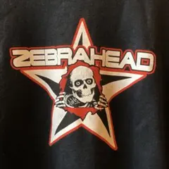 ZEBRAHEAD 2000代初頭 Tシャツ Mサイズ