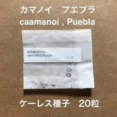 Aco-y様 リクエスト 2点 まとめ商品