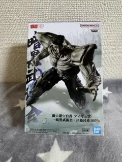 ⭐︎幽☆遊☆白書 フィギュア 暗黒武術会