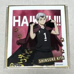 ハイキュー‼︎ 箔押しミニ色紙コレクション　北信介