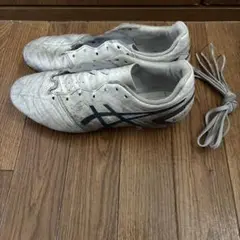 ASICS GEL アシックス DS light 26.0cm