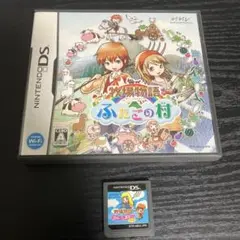 DS 牧場物語 コロボックルステーション for ガール ふたごの村