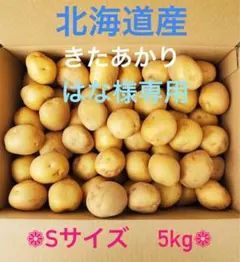 はな様専用 北海道産 新じゃが きたあかり（Sサイズのみ！）5kg