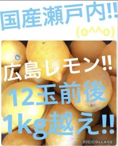 瀬戸田産 加工用 訳ありレモン 10KG - メルカリ