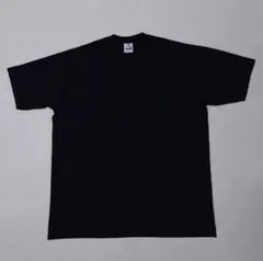 PRO CLUB ヘビーウェイト 無地Tシャツ Mのサムネイル