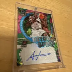 Amare Stoudemire サイン入りカード 19/25