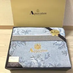 【未使用】Aquascutum 肌掛けふとん 2P キルティング 140×190 未使用】Aquascutum 肌掛けふとん 2P キルティング 140×190