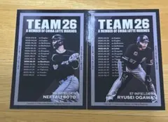 2026年最新】千葉ロッテマリーンズ 2005の人気アイテム - メルカリ