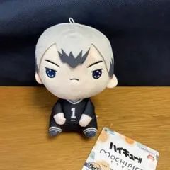 【プライズ】④ ハイキュー!! もちぴこ　ぬいぐるみ 北信介