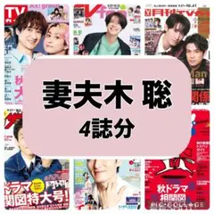 月刊ザテレビジョン TVガイドTVfan TVnavi 妻夫木聡　切り抜き
