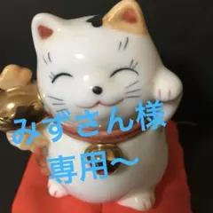 みずさん様専用‼️‼️〜　ドラゴンボール&HUNTER×HUNTER