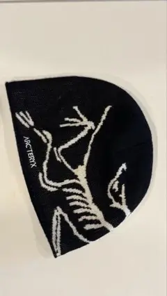 Arc'teryx beanie ビーニー