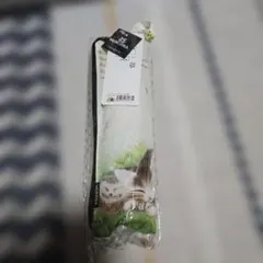 Item thumbnail for item 0d51ca14-a44e-415a-bf74-05721a65f68a