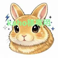 kaho様専用商品