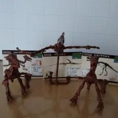 ほねほねザウルス×福井県立恐竜博物館コラボ 3体まとめて。のサムネイル